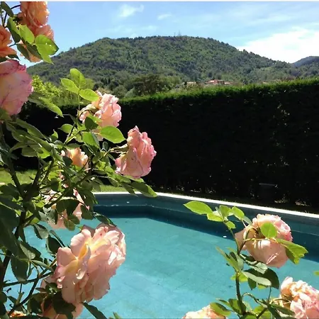 - Private Pool Apartament